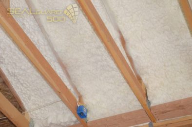 sealguard-piana-natryskowa-3